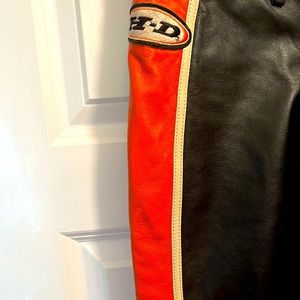 Harley Davidson leather riding pants